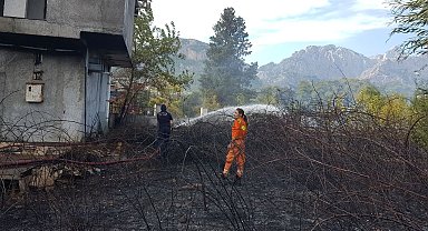 İş yerinden çıkan yangın palmiyeye sıçradı
