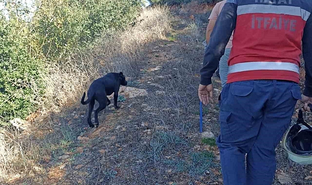 İtfaiye kuyuya düşen köpeği kurtardı