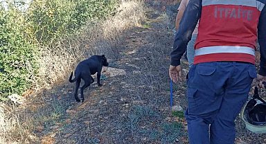 İtfaiye kuyuya düşen köpeği kurtardı