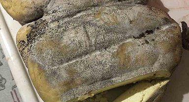 Karın Kaymağı Peyniri coğrafi işaret yolunda