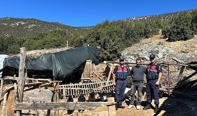 Kaybolan 42 küçükbaş hayvan jandarma ekipleri tarafından bulundu
