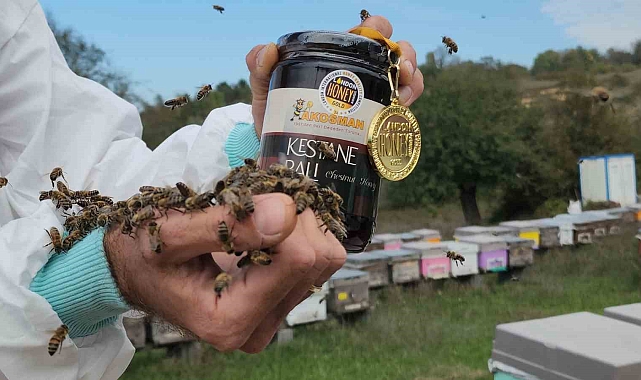 Kestane balının kalitesi dünyaya ulaştı