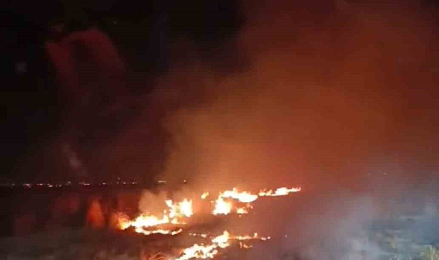 Kuş cenneti alev alev yandı