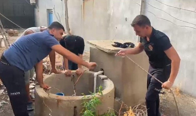 Kuyuya düşen yavru kediyi itfaiye kurtardı