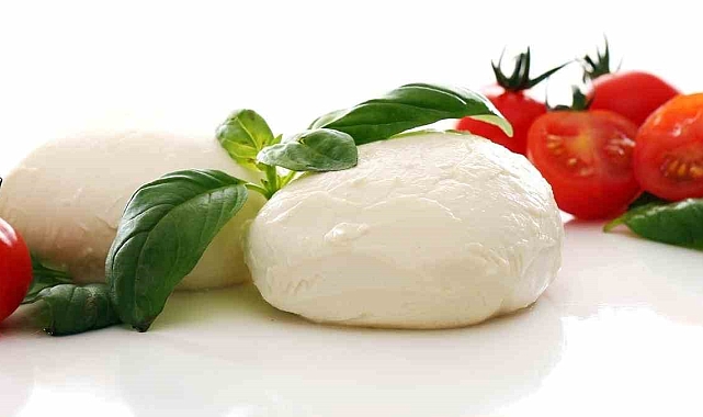 Manda sayısı artıyor, sütleri işlenerek Mozerella peynirine dönüşüyor