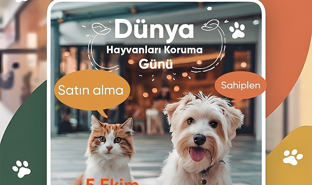 Mersin Büyükşehir Belediyesi ve Sayapark AVM işbirliği ile sokak hayvanları sahiplendiriliyor