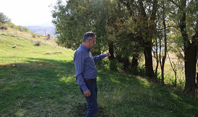 Muş&#039;ta bir vatandaş, doğada yürüyüş yaparken jaguar gördüğünü iddia etti