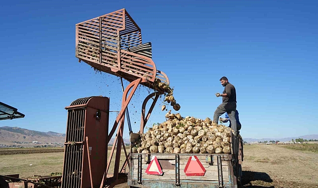Muş&#039;ta şeker pancarının tatlı yolculuğu