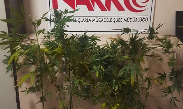 Narkotik madde operasyonunda 1 kişi gözaltına alındı