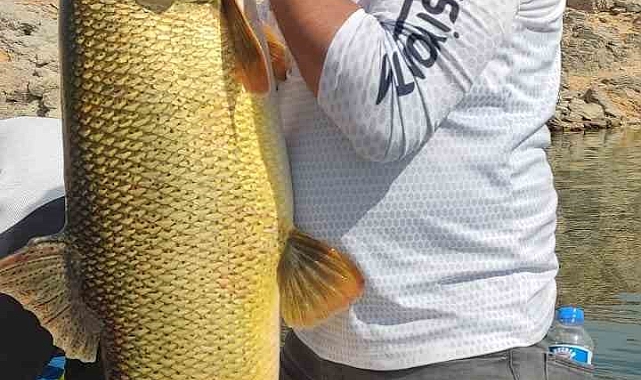 Oltaya 38 kiloluk dev Fırat turnası takıldı