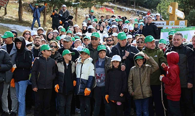 Ormanlar için kollar sıvandı