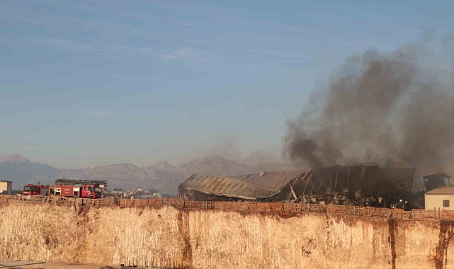 Otluk alanda başlayan yangın işçilerin kaldığı yatakhaneyi kül etti