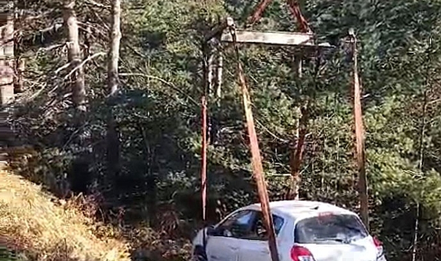 Otomobil, ağaçlık alana uçtu