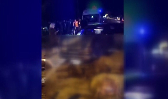 Otomobilin sürüye çarpması sonucu 20 koyun telef oldu