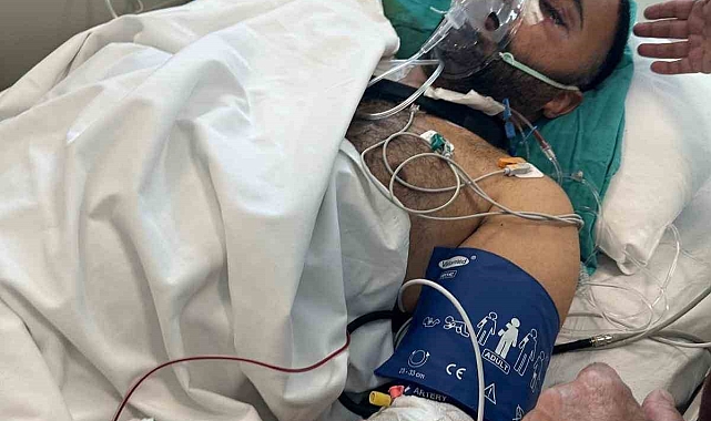 Otomobiline çarpıp öldüresiye dövdüler