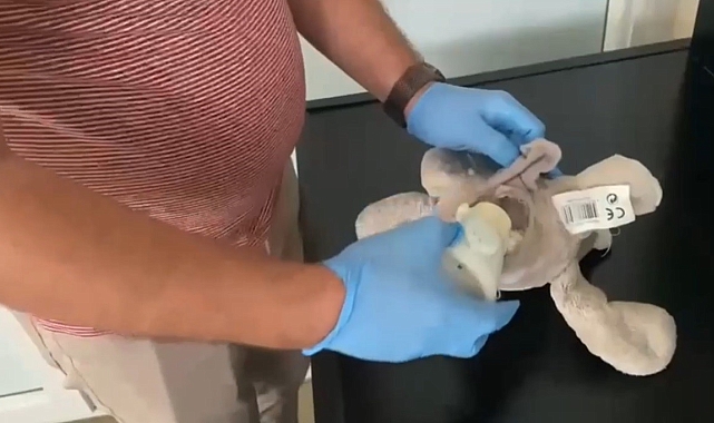Oyuncak ayıcıktan uyuşturucu çıktı
