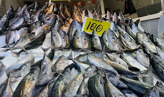 Palamudun saltanatı devam ediyor