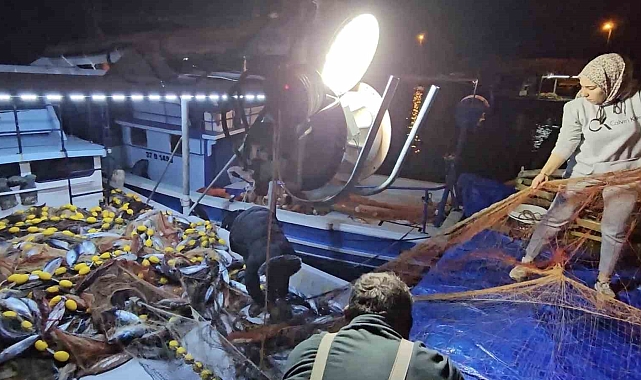 Palamutlar 70 TL&#039;den satıldı