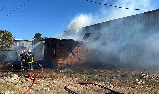 Palet üretim tesisinde yangın çıktı