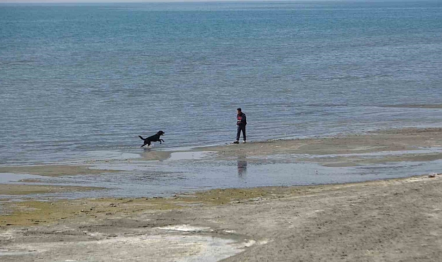 Rojin için AFAD&#039;dan köpekli arama