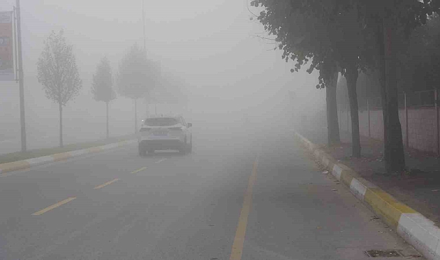 Sakaryada sis hakim oldu