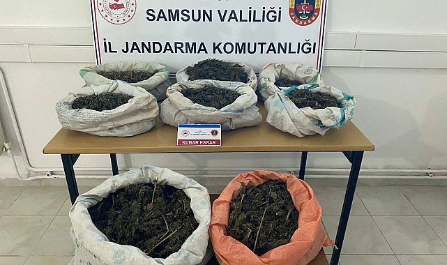 Samsun&#039;da ormanlık alanda çadır içinde  8,5 kilo esrar ele geçirildi