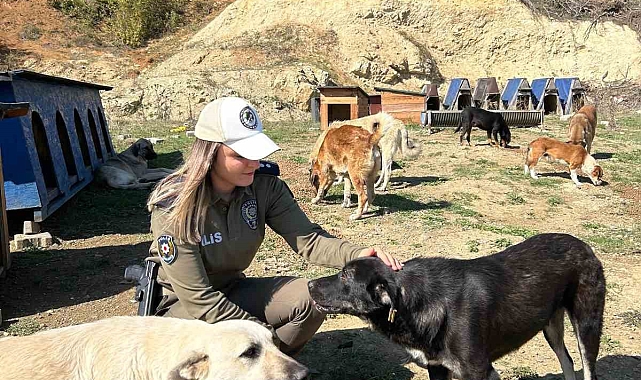 Samsun&#039;da, Sokak hayvanlarına mama desteği verildi