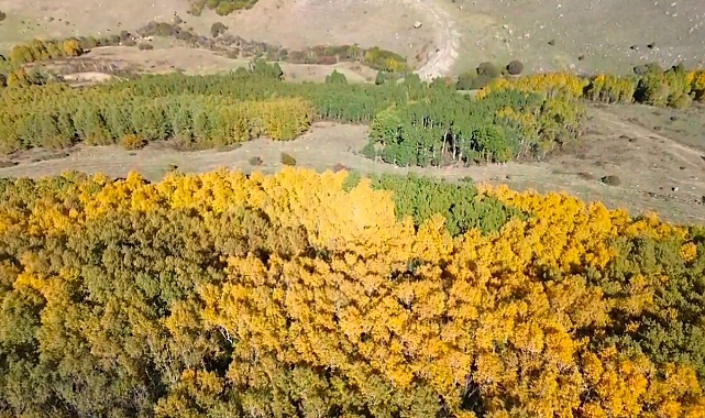 Sarıkamış muhteşem bir renk cümbüşüne ev sahipliği yapıyor