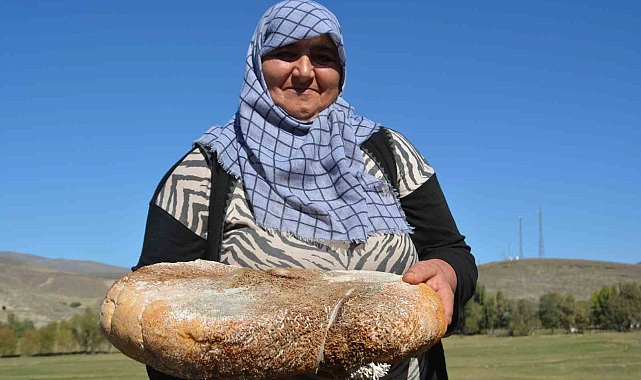 Sarıkamış&#039;ta üretilen peynir işkembeye dolduruluyor