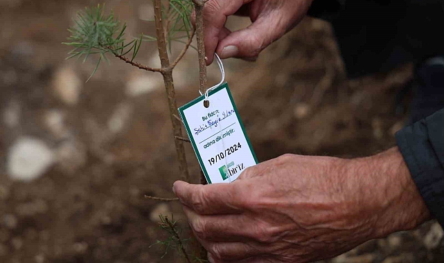 Şehit Polis Memuru Şeyda Yılmaz&#039;ın adı, ormanla yaşatılacak
