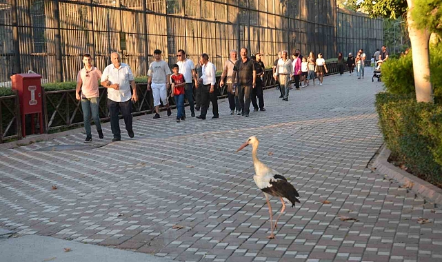 Şehit ve gazi aileleri için Ankara ve Mersin illerine gezi programı düzenlendi