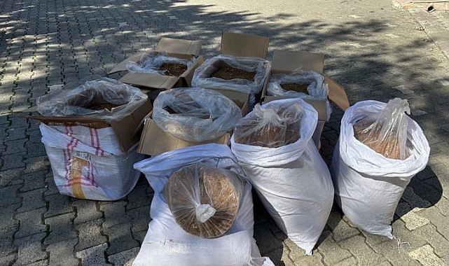 Sinop&#039;ta kaçakçılık operasyonunda 1 kişi gözaltına alındı