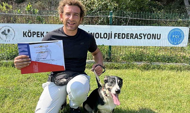 Sokak köpekleri, hastalara ümit oluyor