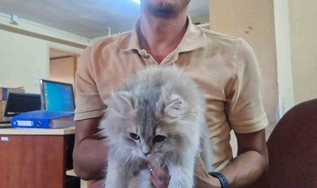 Söke İlçe Tarım Ve Orman Müdürlüğü&#039;nden Sahipli Hayvanlar İçin Çip Ve Aşılama Çağrısı