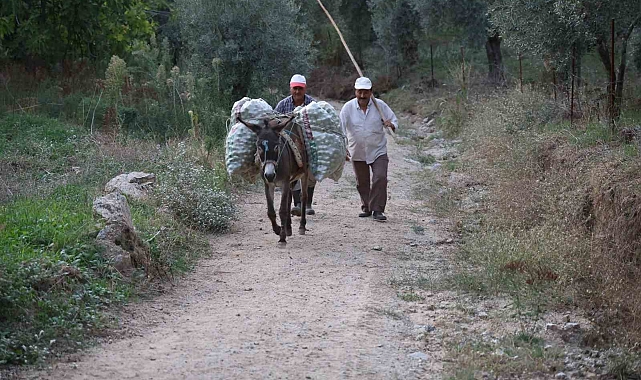 Tarladan sofraya zorlu yolculuk