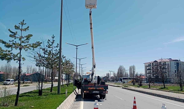 TEDAŞ, Van, Bitlis, Muş ve Hakkari illerinde aydınlatma denetimi yapacak