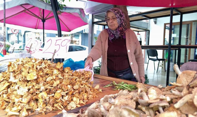 Tirmit çeşitlerine talep arttı