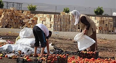 Türkiye'nin en yoksul kentleri Ağrı, Kars, Iğdır ve Ardahan oldu!