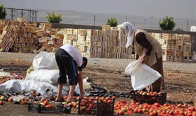 Türkiye&#039;nin en yoksul kentleri Ağrı, Kars, Iğdır ve Ardahan oldu!