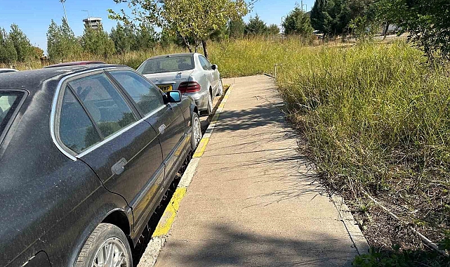 Unutulan lüks otomobiller gümrüğe gönderildi