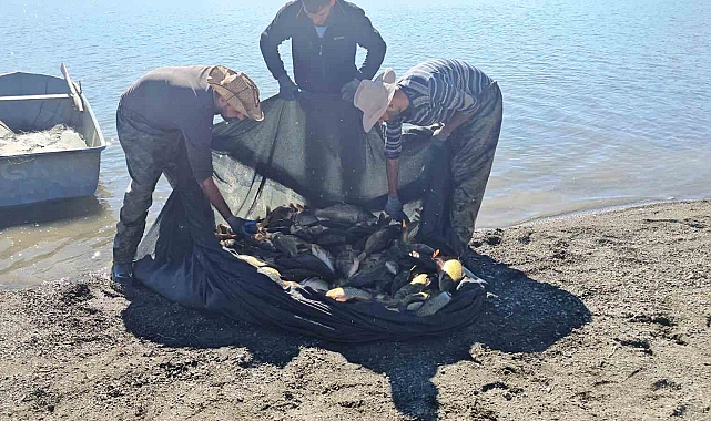 Van&#039;da ağla kaçak balık avlayan kişiye 8 bin 918 liralık ceza