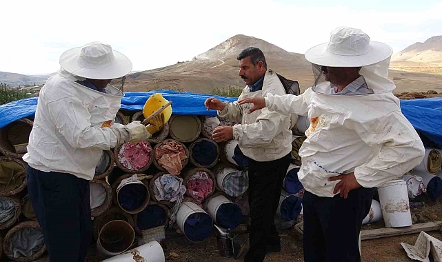 Van&#039;da bal üreticileri son yılların en verimli sezonunu yaşadı