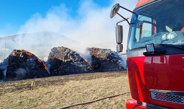 Van&#039;da çıkan yangında 9 bin bağ ot kül oldu