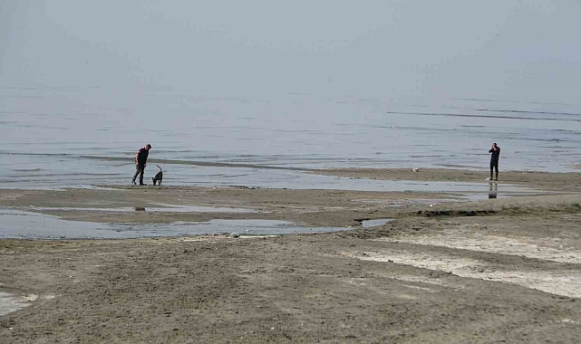 Van'da kaybolan Rojin 13 gündür aranıyor