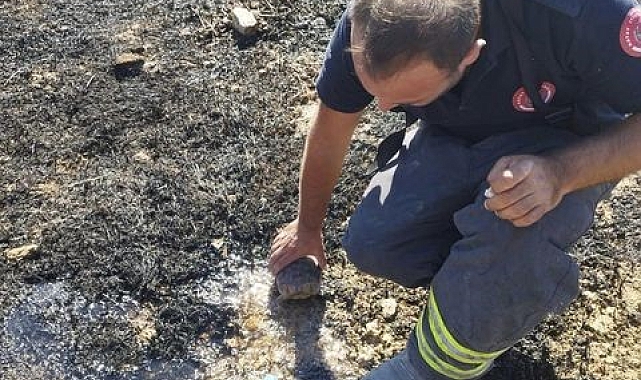Yangının içinde kalan kaplumbağaya can suyu