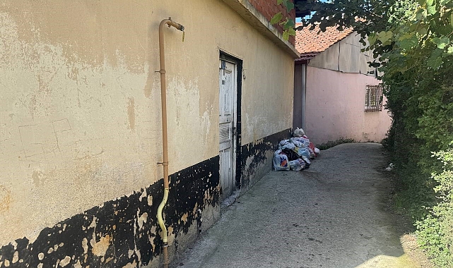 Yaşlı kadını domuz sanıp ölümüne sebep oldu