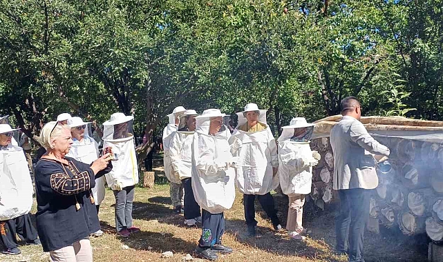 Yerli turistler Van'da bal hasadı yaptı