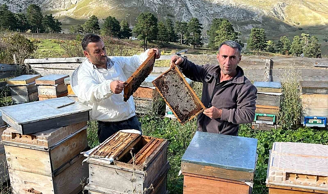 Yıllar önce keşfedilen bal, köylünün yeni gelir kaynağı haline geldi