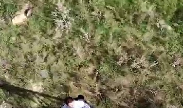 Yüksek gerilim hattına tırmandılar