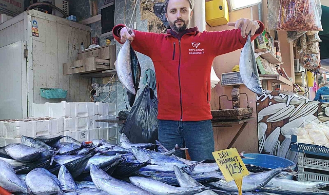 125 TL&#039;den satılan palamudun son günleri